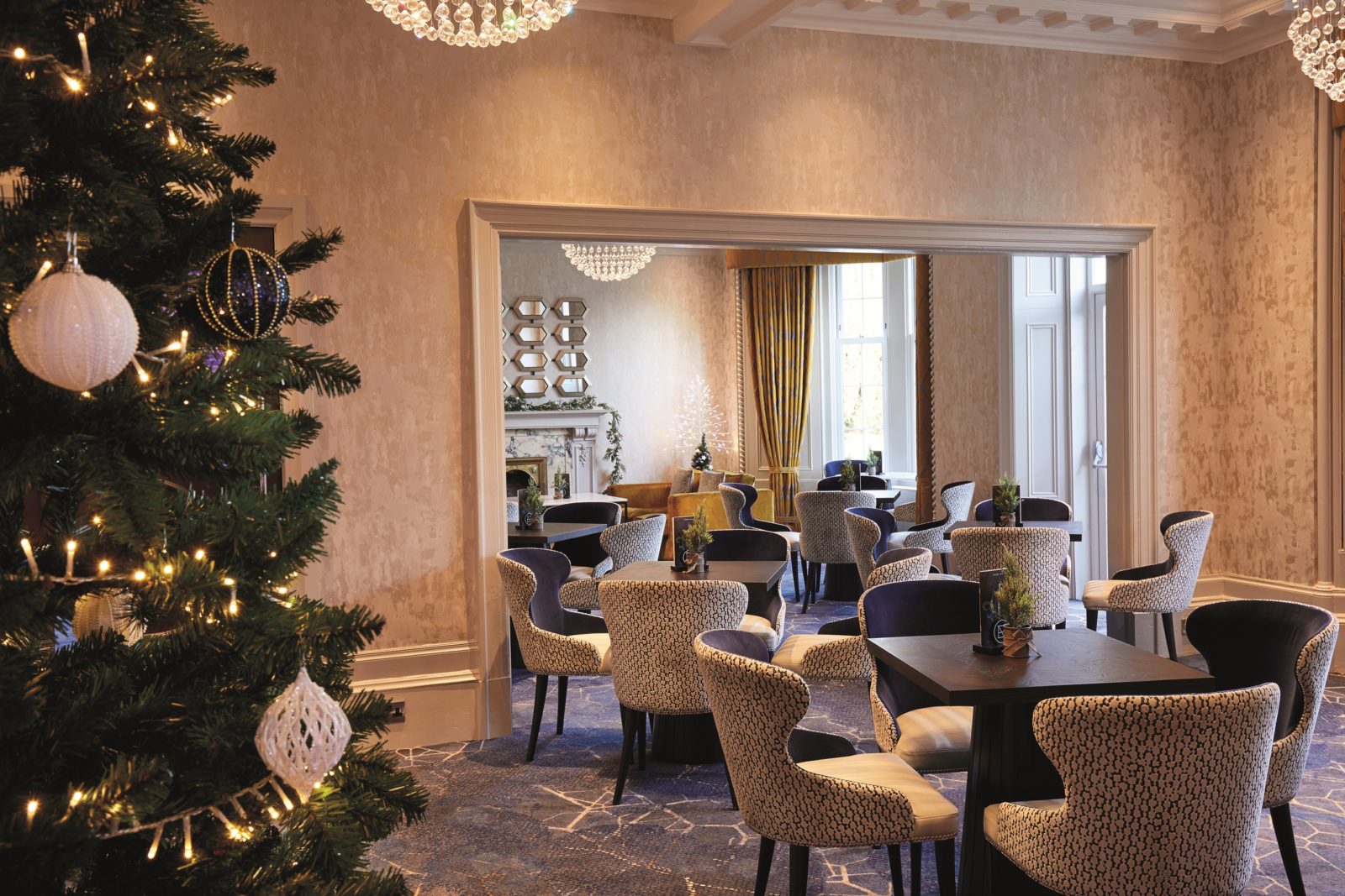 Dalmeny Orchid Lounge with Christmas Tree